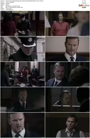 The Doctor Blake Mysteries 2013 S01 S05 1080p AMZN Webrip DDP2 0 x265-Vialle