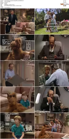 Alf S01 German DL 1080p MiXED x264-TVNATiON