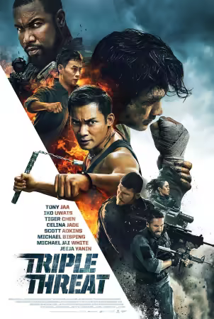Triple Threat 2019 1080p BluRay x264-OFT