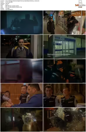 Wellington Paranormal 2018 S01 S04 1080p BluRay 10bit EAC3 5.1 x265-iVy