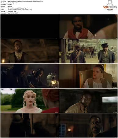 Washington Black S01 1080p WEBRip x265-KONTRAST