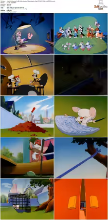 Animaniacs 1993 S01-S05 1080p UPSCALED DD 5.1 x265-EDGE2020
