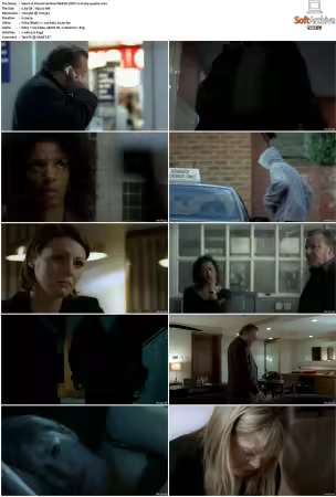 Vincent S01 S02 WEB-DL DDP2 0 H264-squalor