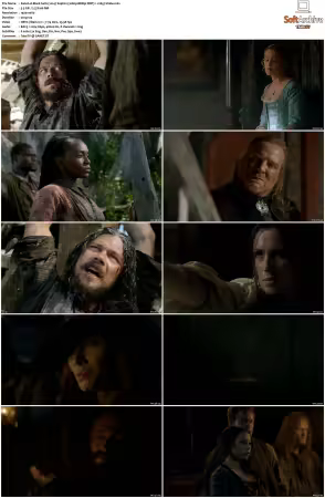 Black Sails 2014 S01-S04 1080p BDRip DDP7.1 x265-Vialle