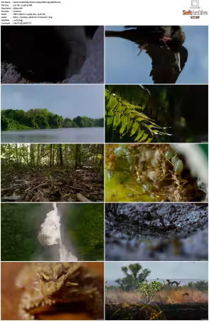 Wild Sky S01 2160p WEB h265-BAWD