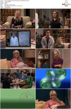 The Big Bang Theory S01-S12 German DL AC3 1080p BluRay x265-FuN