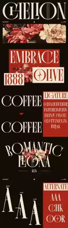 Chelion Font