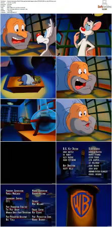 Animaniacs 1993 S01-S05 1080p UPSCALED DD 5.1 x265-EDGE2020