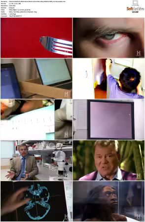 Weird Or What S01 S03 1080p WEB-DL DDP5.1 H264-squalor
