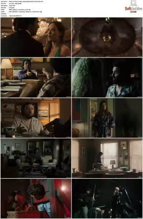 Vinyl S01 1080p BluRay HEVC 6CH x265
