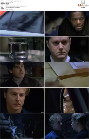 Waking The Dead S01-S09 DVDRip XviD-Mixed