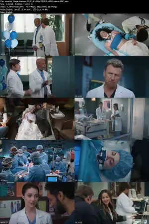 Greys Anatomy S22E14 1080p WEB-DL H264-Kenvin1987