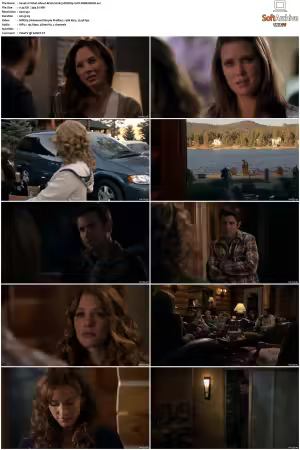 What About Brian S01 S02 DVDRip XviD-DIMENSION