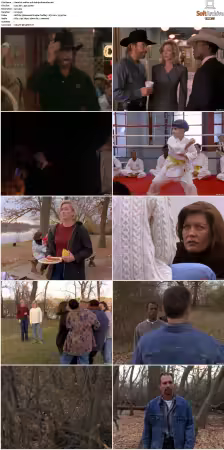 Walker Texas Ranger S01 S09 DVDRip XviD-Mixed