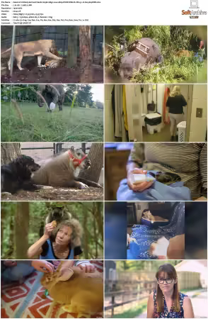 Unlikely Animal Friends S01 S03 1080p DSNP WEB-DL DD+5.1 H264-playWEB