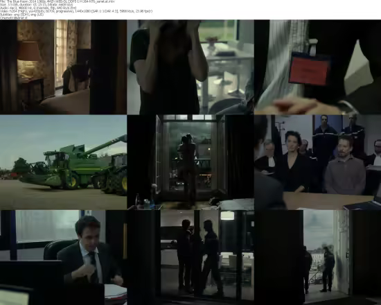 The Blue Room 2014 1080p AMZN WEB-DL DDP5 1 H 264-NTb
