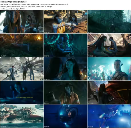 Avatar Fire and Ash 2025 1080p 10bit WEBRip 6CH x265 HEVC-PSA