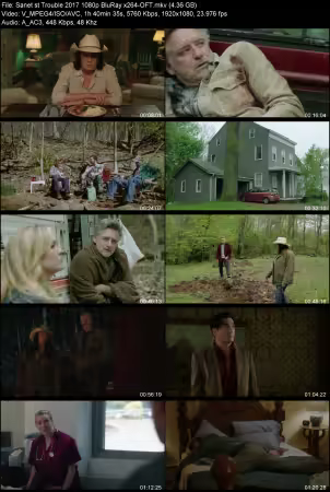 Trouble 2017 1080p BluRay x264-OFT