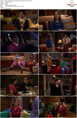 The Big Bang Theory S01-S12 German DL AC3 1080p BluRay x265-FuN