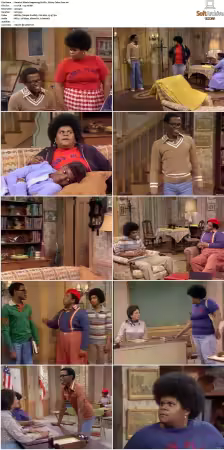 Whats Happening S01-S03 DVDRip XviD-NGP