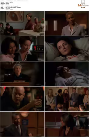 Family Law 1990 S01-S03 720p WEB x264-NGP