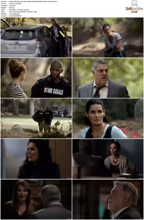 Rizzoli and Isles 2010 S01-S07 1080p NF WEB-DL DDP5.1 AV1-Vialle