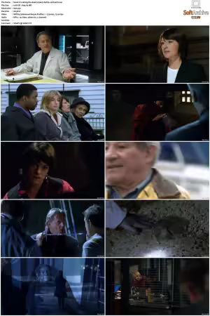 Waking The Dead S01 S09 DVDRip XviD-Mixed