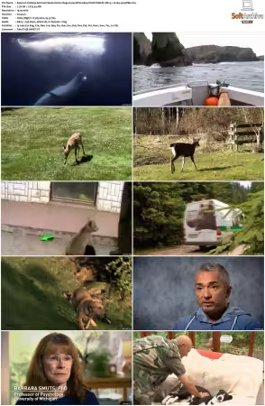 Unlikely Animal Friends S01 S03 1080p DSNP WEB-DL DD+5.1 H264-playWEB