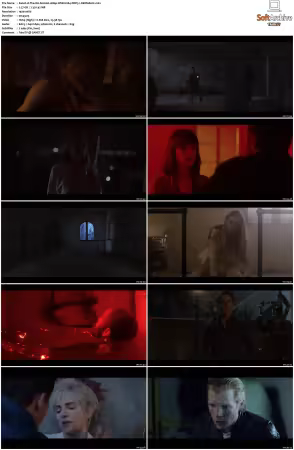 The OA S01 S02 1080p WEB H264 DDP5.1-DERMAGiC