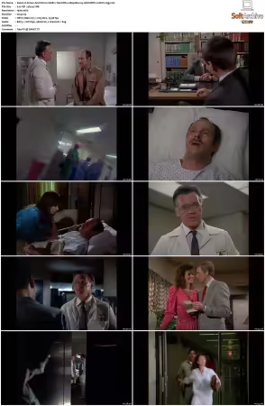 Simon and Simon S01-S08 1080p Blu-ray 10Bit DDP2.0 HEVC-d3g