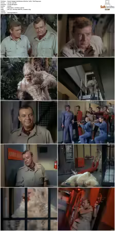 Voyage to the Bottom of the Sea 1964-1968 S01-S04 DVDRip XviD-NOGRP