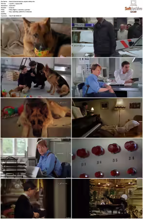 Kommissar Rex S01-S10 German 1080p HDTV x264-OMGtv