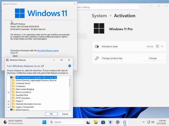 tiny11 Core 25H2 Build 26200.8037 Multilingual Preactivated
