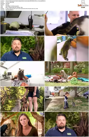 Unlikely Animal Friends S01 S03 1080p DSNP WEB-DL DD+5.1 H264-playWEB