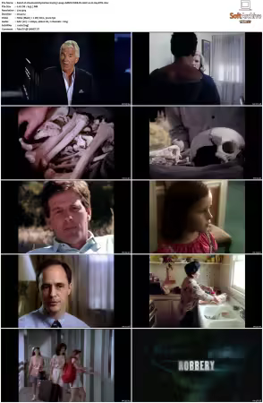 Unsolved Mysteries S14 AMZN WEB-DL AAC2.0 H264-BTN