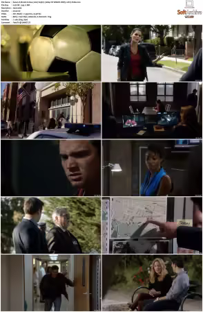 Rizzoli and Isles 2010 S01-S07 1080p NF WEB-DL DDP5.1 AV1-Vialle