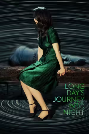 Long Days Journey Into Night 2018 1080p MUBI WEB-DL H264-GPRS