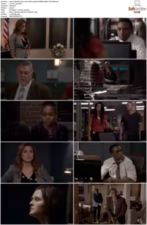 Rizzoli and Isles 2010 S01-S07 1080p NF WEB-DL DDP5.1 AV1-Vialle