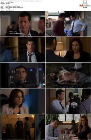 Unforgettable S01-S04 1080p AMZN WEBRip DDP 5.1 x265-edge2020