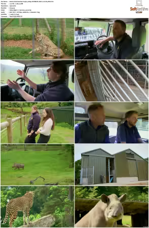 Animal Park S25 1080p iP WEB-DL AAC2.0 H264-AEK