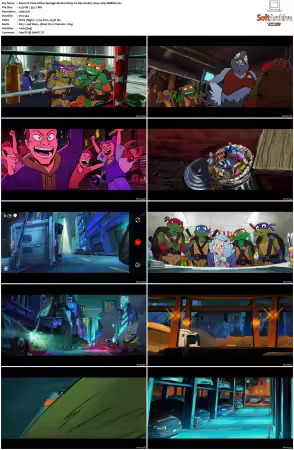 Tales of the Teenage Mutant Ninja Turtles S02 720p x264-AMBER