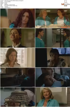 Wentworth S01 S09 1080p WEB h265-d3g