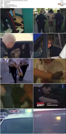 To Serve and Protect aka Under Arrest S01 S08 NF WEB-DL DDP2.0 x264-BTW