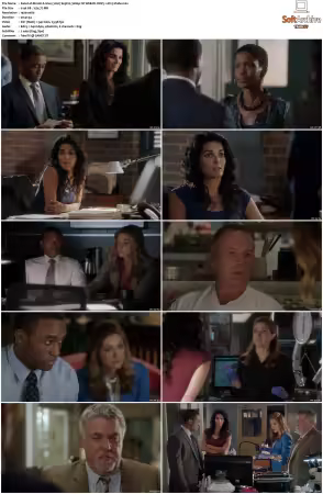 Rizzoli and Isles 2010 S01-S07 1080p NF WEB-DL DDP5.1 AV1-Vialle