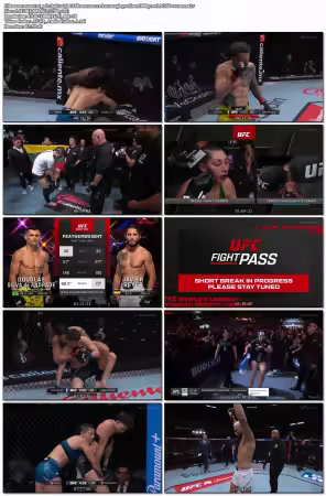 UFC Fight Night 268 Moreno Vs Kavanagh Prelims 1080p WEB H264-VERUM