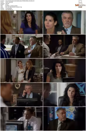 Rizzoli and Isles 2010 S01-S07 1080p NF WEB-DL DDP5.1 AV1-Vialle