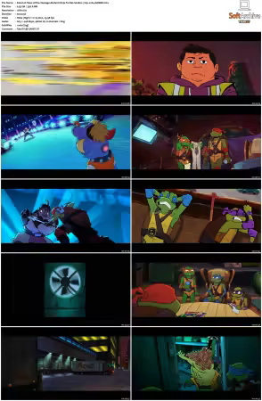 Tales of the Teenage Mutant Ninja Turtles S02 720p x264-AMBER