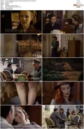 Un Village Francais S01-S07 1080p WEB-DL DD2.0 H264-SbR
