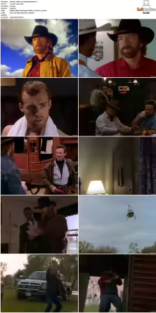 Walker Texas Ranger S01 S09 DVDRip XviD-Mixed