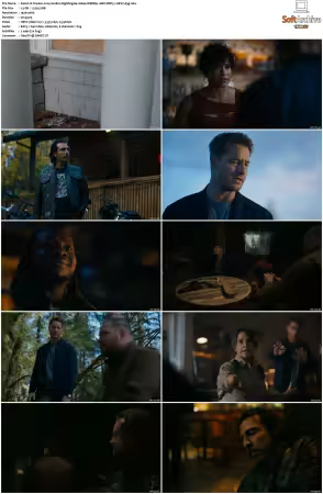 Tracker 2024 S01 S02 1080p WEBRip 10Bit DDP5.1 HEVC-d3g